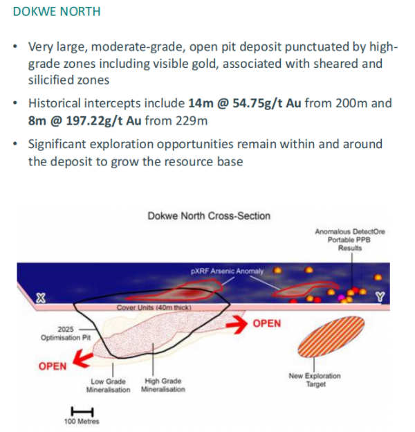 津巴布韦多克维金矿 津巴布韦多克维金矿