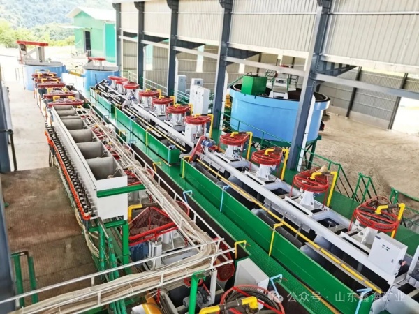 gold-ore-flotation.jpg